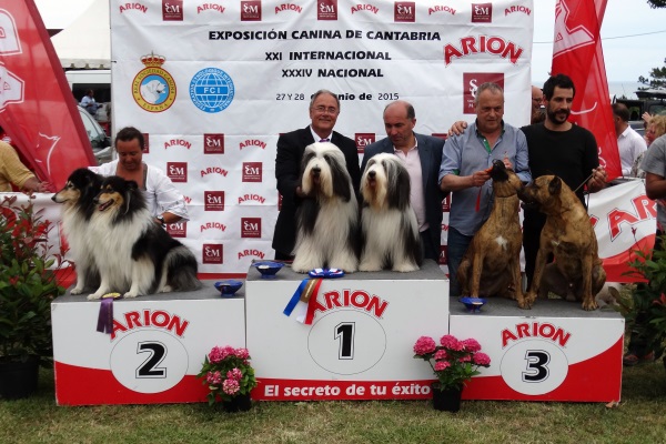 BIS Parejas Internacional Santander