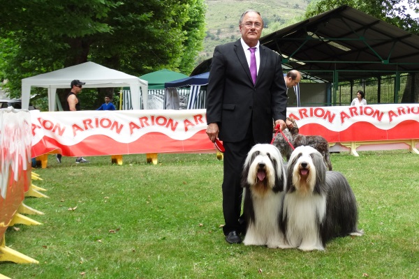 Apolo y África de IRBOAS