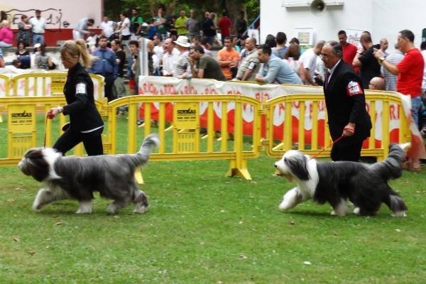 Dago y Dylan de IRBOAS